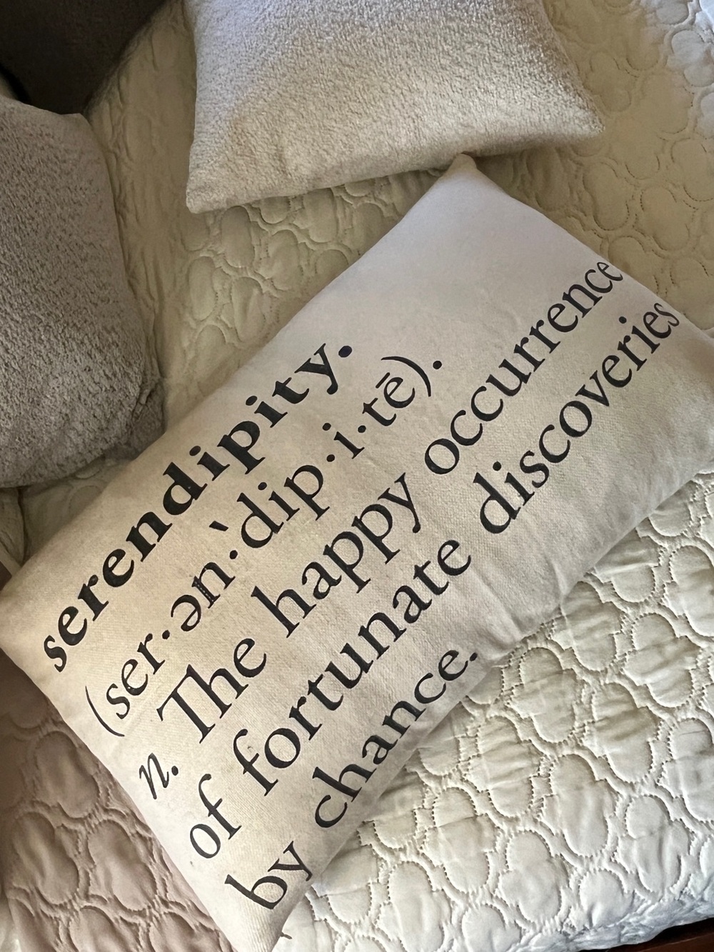 Pottery Barn Cream Accent Pillow with Black Text “Serendipity……” - Picture 3 of 12